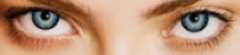Optometrists | eye doctor